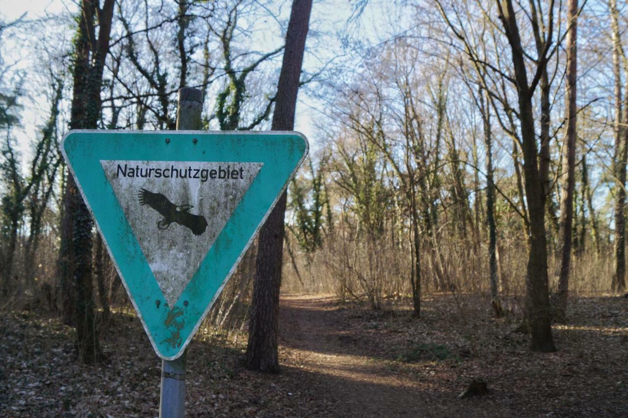 Apartment Gemütlich 1-zimmer Nah Am Wald Mainz